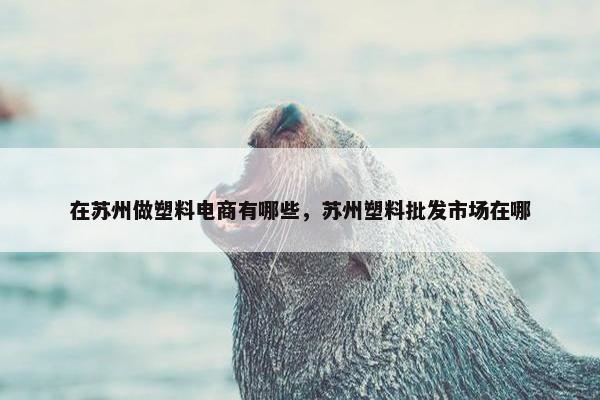 在苏州做塑料电商有哪些，苏州塑料批发市场在哪