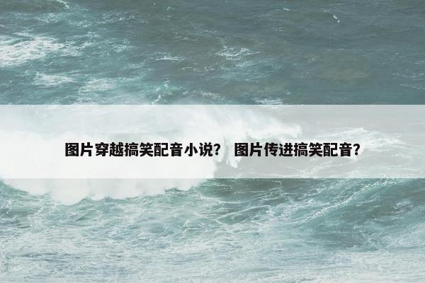 图片穿越搞笑配音小说？ 图片传进搞笑配音？