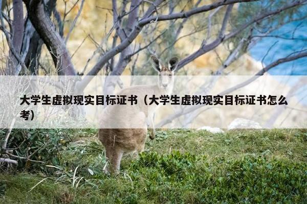 大学生虚拟现实目标证书（大学生虚拟现实目标证书怎么考）