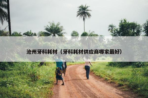 沧州牙科耗材（牙科耗材供应商哪家最好）