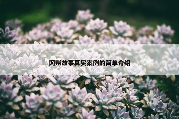 网赚故事真实案例的简单介绍
