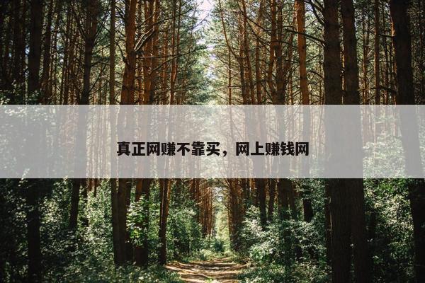 真正网赚不靠买，网上赚钱网