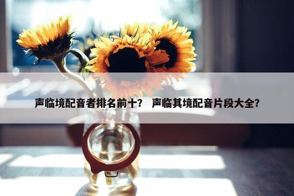 声临境配音者排名前十？ 声临其境配音片段大全？