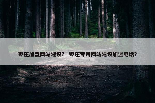枣庄加盟网站建设？ 枣庄专用网站建设加盟电话？