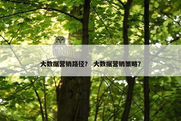大数据营销路径？ 大数据营销策略？