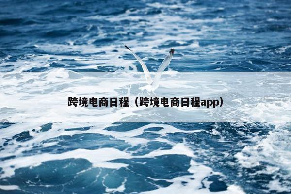 跨境电商日程（跨境电商日程app）