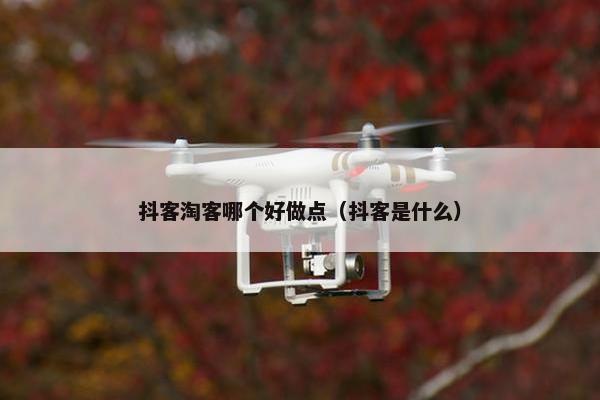 抖客淘客哪个好做点（抖客是什么）