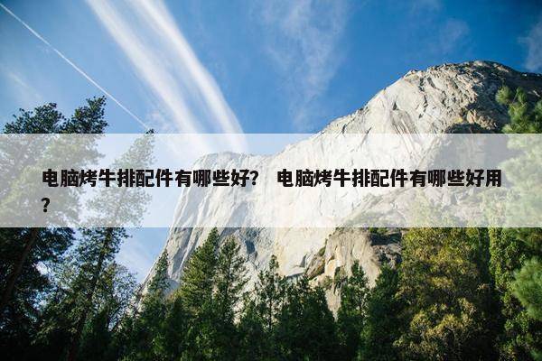 电脑烤牛排配件有哪些好？ 电脑烤牛排配件有哪些好用？