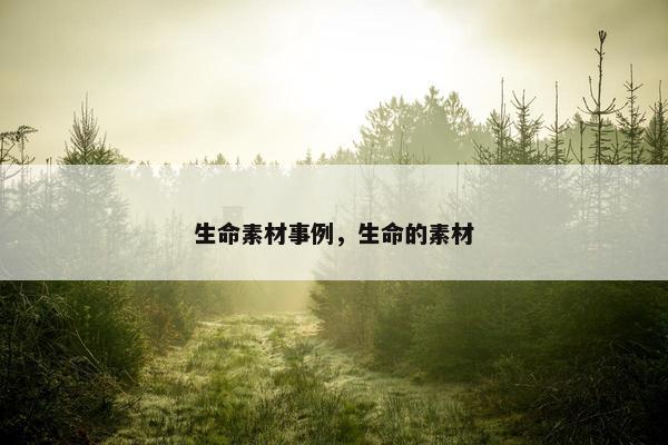 生命素材事例，生命的素材