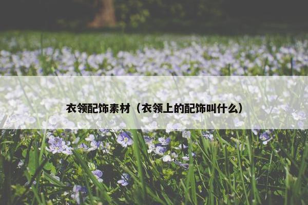 衣领配饰素材（衣领上的配饰叫什么）