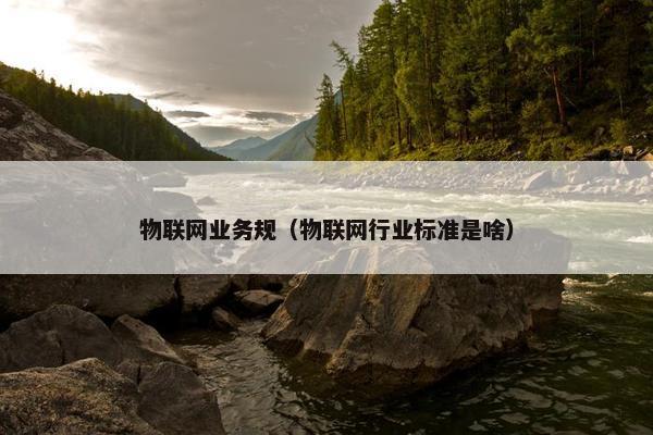 物联网业务规（物联网行业标准是啥）