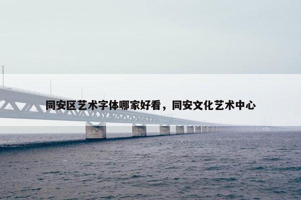 同安区艺术字体哪家好看，同安文化艺术中心