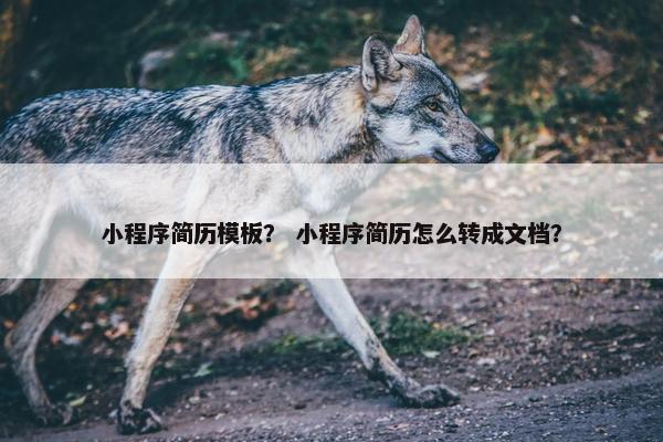 小程序简历模板？ 小程序简历怎么转成文档？