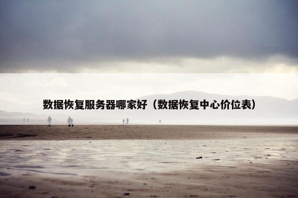 数据恢复服务器哪家好（数据恢复中心价位表）