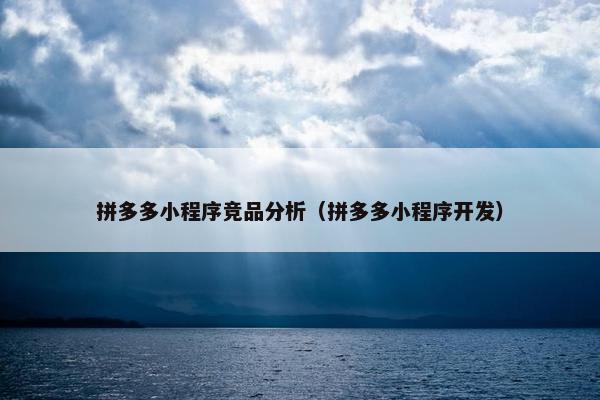 拼多多小程序竞品分析（拼多多小程序开发）