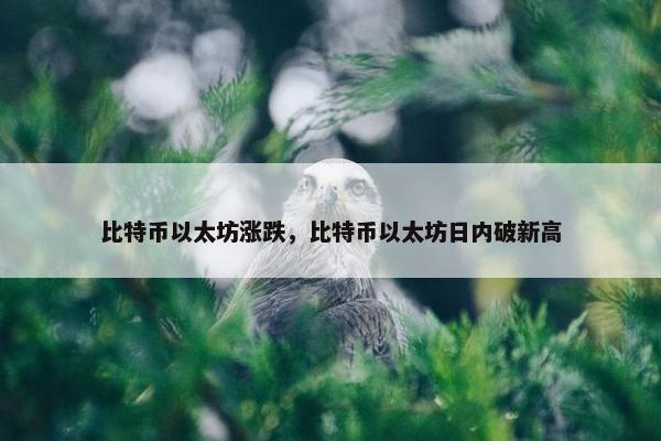 比特币以太坊涨跌，比特币以太坊日内破新高