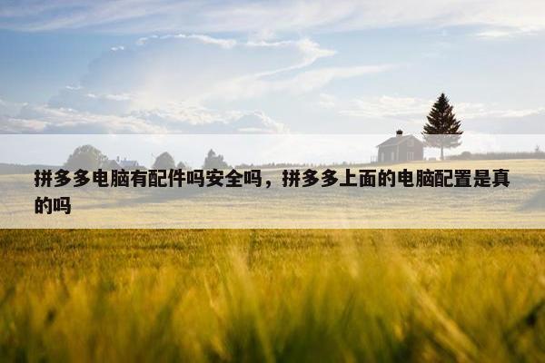 拼多多电脑有配件吗安全吗，拼多多上面的电脑配置是真的吗