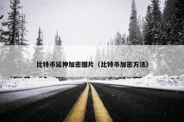 比特币延伸加密图片（比特币加密方法）
