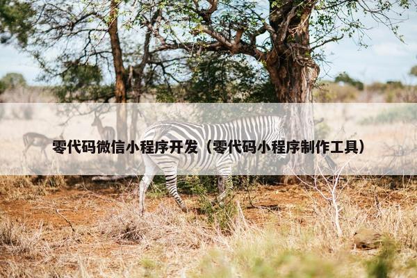 零代码微信小程序开发（零代码小程序制作工具）
