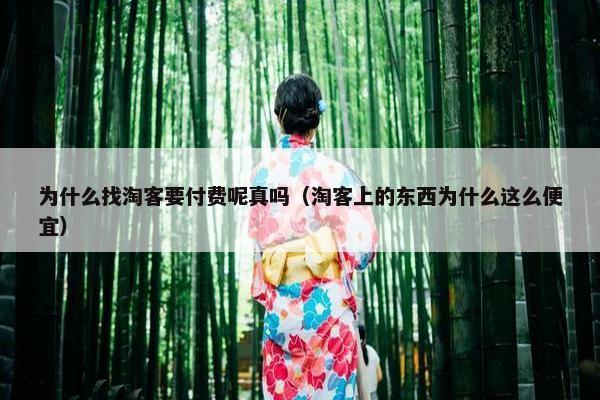 为什么找淘客要付费呢真吗（淘客上的东西为什么这么便宜）