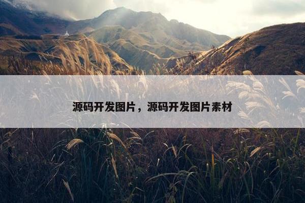源码开发图片，源码开发图片素材