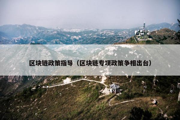 区块链政策指导（区块链专项政策争相出台）