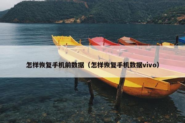 怎样恢复手机前数据（怎样恢复手机数据vivo）