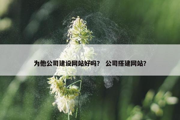 为他公司建设网站好吗？ 公司搭建网站？