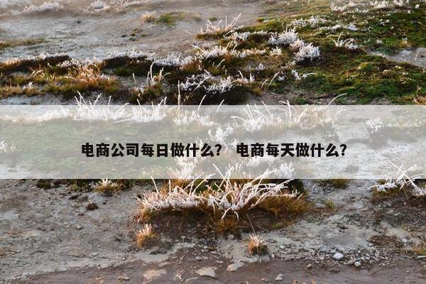 电商公司每日做什么？ 电商每天做什么？