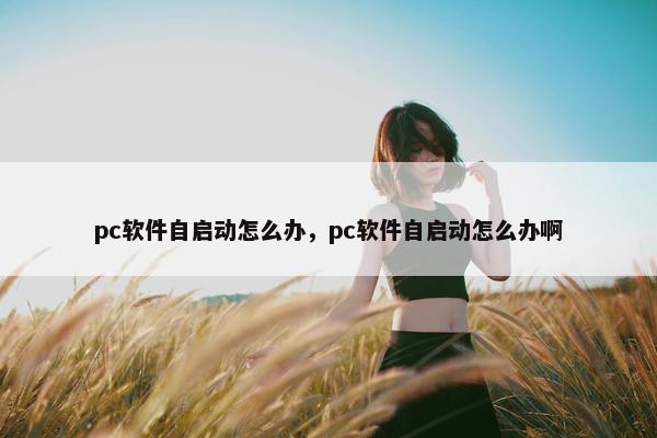 pc软件自启动怎么办，pc软件自启动怎么办啊