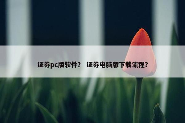 证券pc版软件？ 证券电脑版下载流程？
