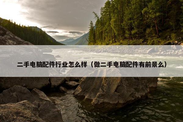 二手电脑配件行业怎么样（做二手电脑配件有前景么）
