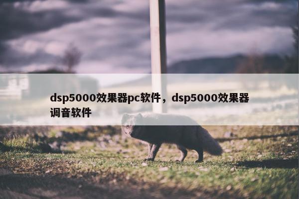 dsp5000效果器pc软件，dsp5000效果器调音软件