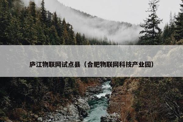 庐江物联网试点县（合肥物联网科技产业园）