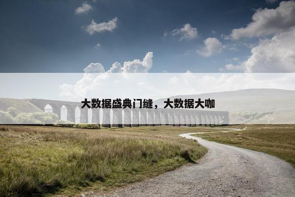 大数据盛典门缝，大数据大咖