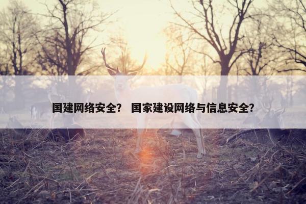 国建网络安全？ 国家建设网络与信息安全？