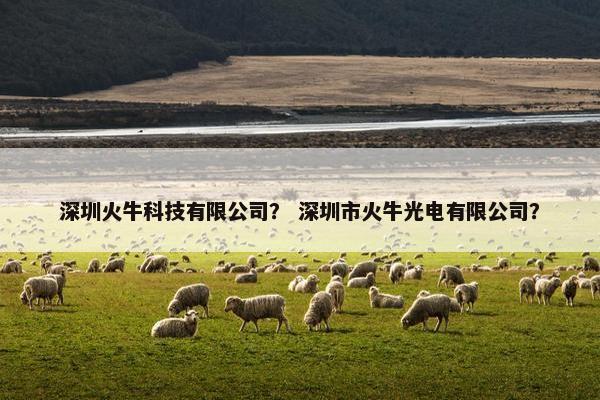 深圳火牛科技有限公司？ 深圳市火牛光电有限公司？
