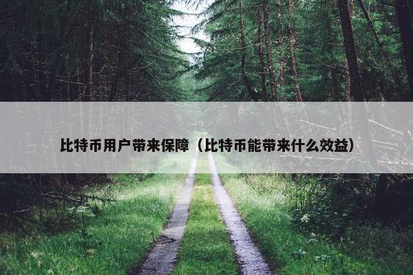 比特币用户带来保障（比特币能带来什么效益）