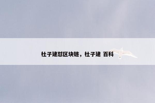 杜子建怼区块链，杜子建 百科