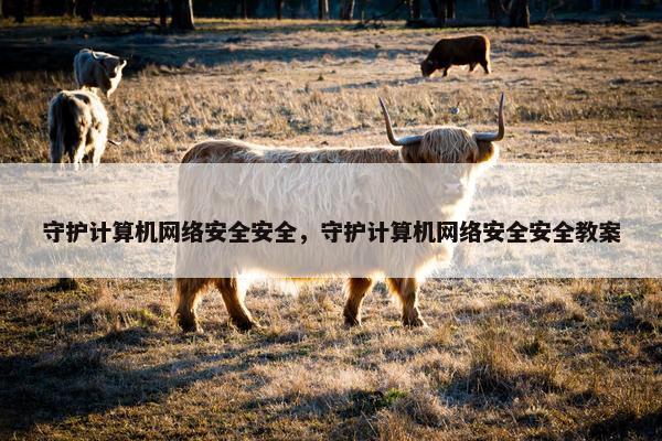 守护计算机网络安全安全，守护计算机网络安全安全教案