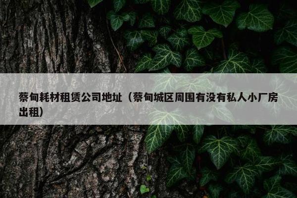蔡甸耗材租赁公司地址（蔡甸城区周围有没有私人小厂房出租）