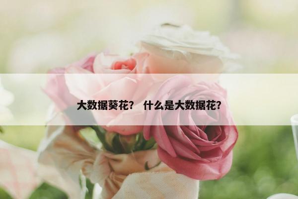 大数据葵花？ 什么是大数据花？
