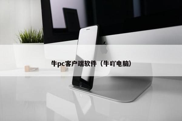 牛pc客户端软件（牛吖电脑）