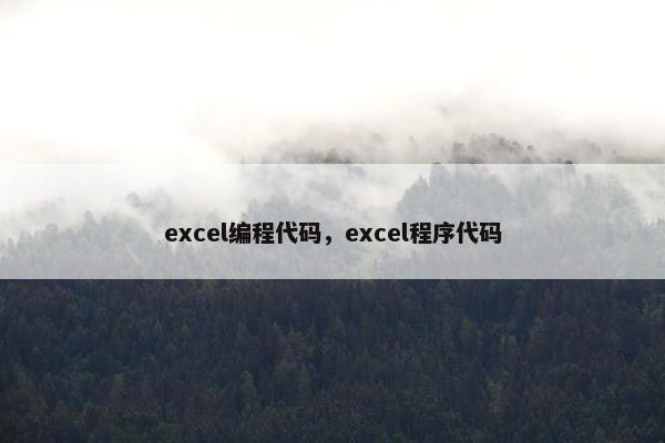 excel编程代码，excel程序代码