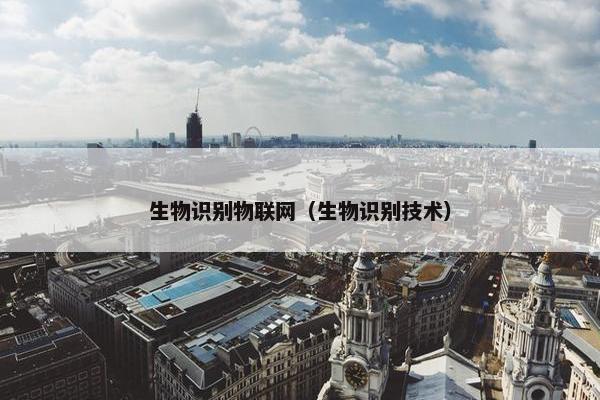 生物识别物联网（生物识别技术）