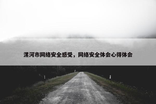 漯河市网络安全感受，网络安全体会心得体会