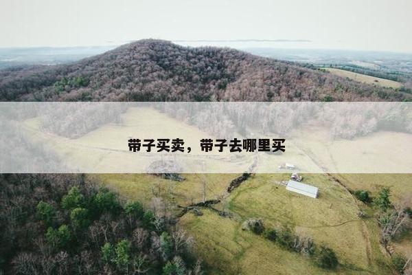 带子买卖，带子去哪里买