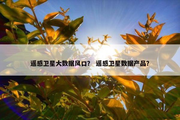 遥感卫星大数据风口？ 遥感卫星数据产品？