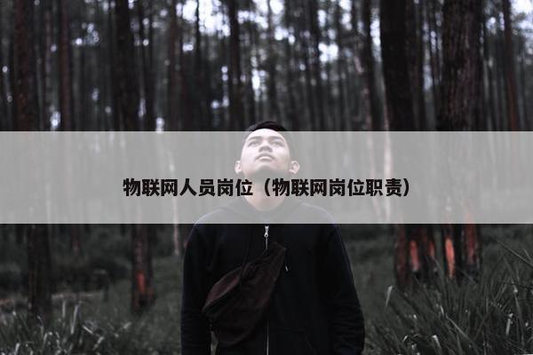 物联网人员岗位（物联网岗位职责）