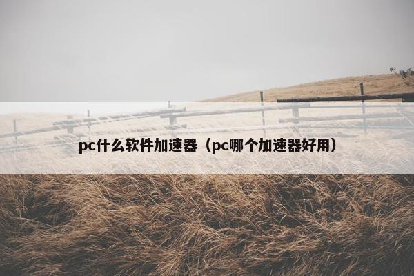 pc什么软件加速器（pc哪个加速器好用）